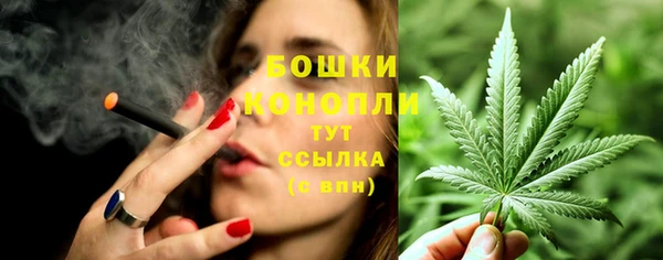 крисы Семилуки