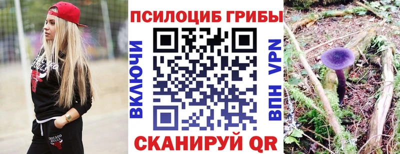 продажа наркотиков  Бор  Псилоцибиновые грибы ЛСД 