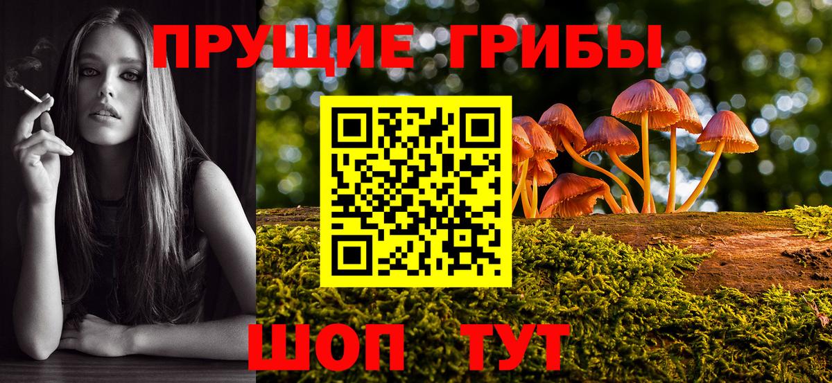 Галлюциногенные грибы GOLDEN TEACHER Бор