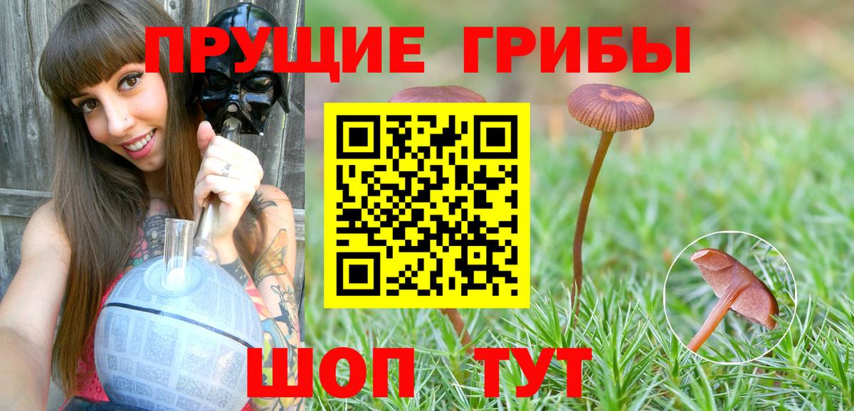 Псилоцибиновые грибы Psilocybine cubensis  Вход с VPN  Псилоцибиновые грибы GOLDEN TEACHER  Бор 