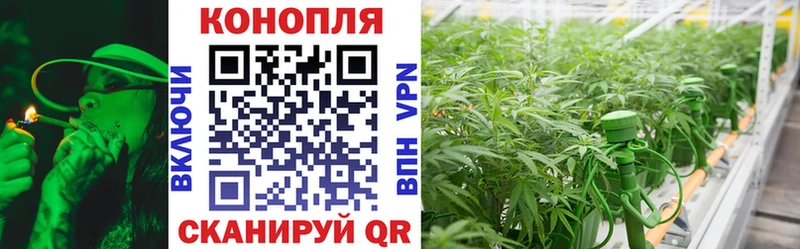 Шишки марихуана VHQ  купить наркоту  Бор 