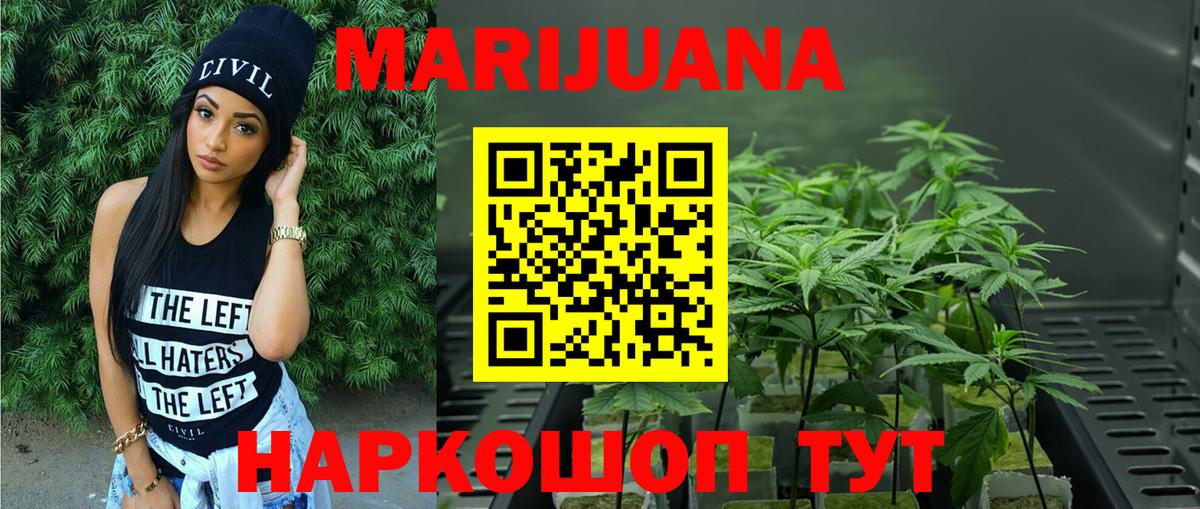 Бор  Шишки марихуана планчик  Шишки марихуана тримм  МАРИХУАНА конопля  Вход с VPN 